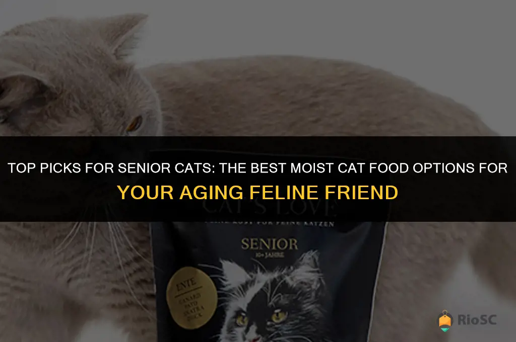 best moist cat food for older cats