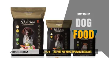 Top Picks for the Best Moist Dog Food: Keep Your Pup Hydrated and Happy