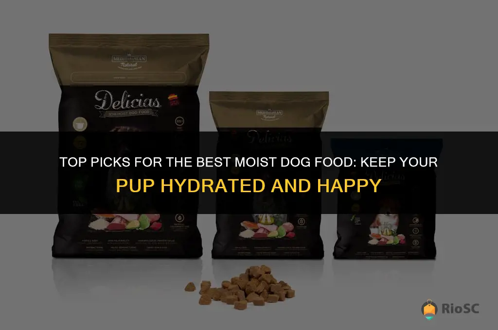 best moist dog food