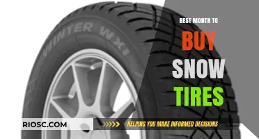 When to Gear Up: The Optimal Time to Purchase Snow Tires