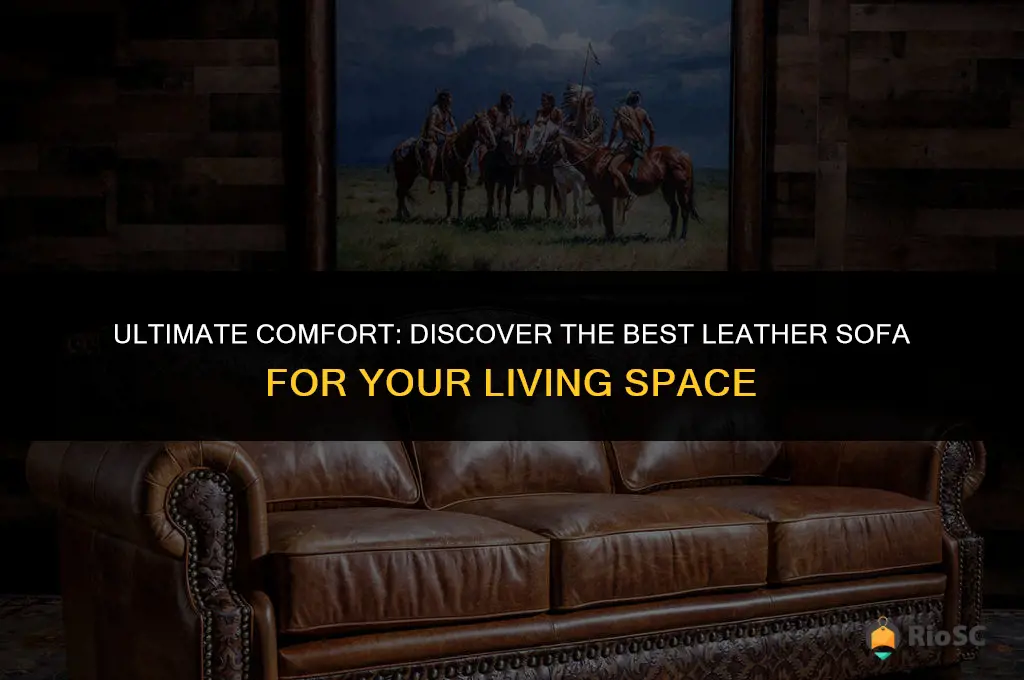 best most comfortable leather sofa