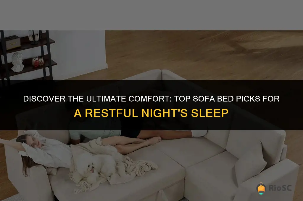 best most comfortable sofa bed