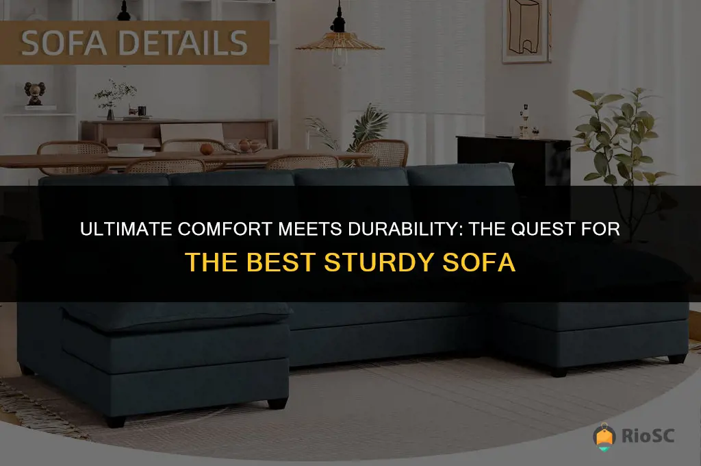best most sturdy sofa