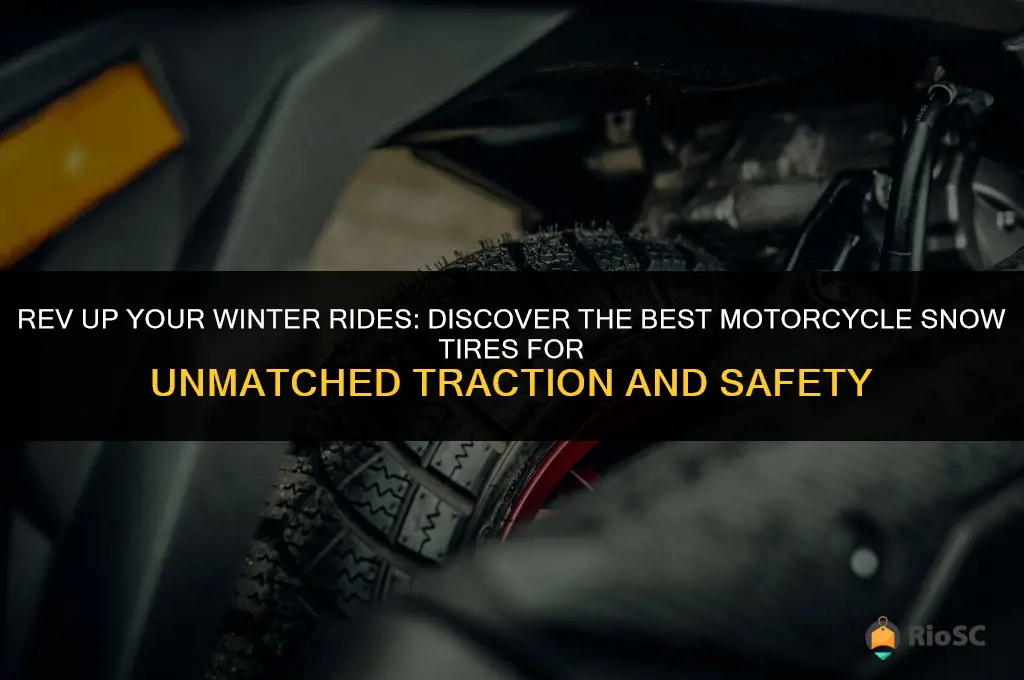 best motorcycle snow tires