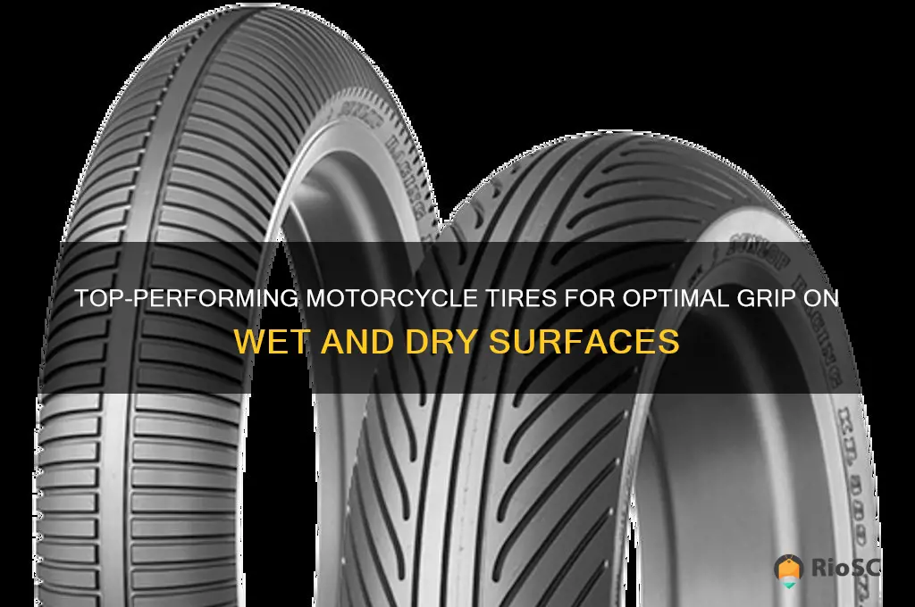 best motorcycle tires for wet and dry roads