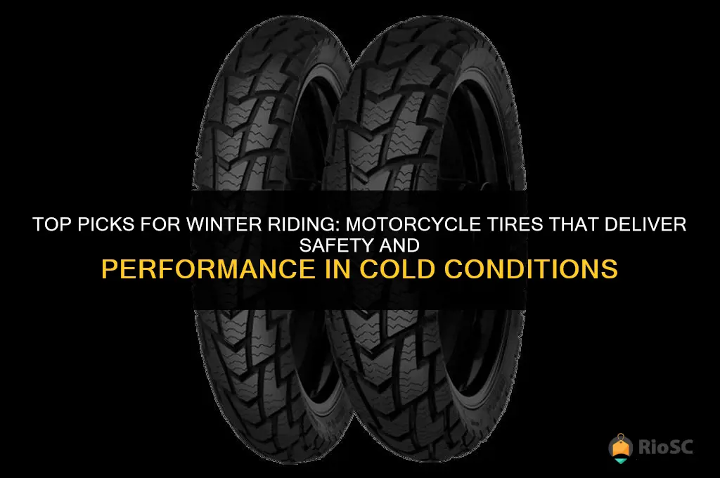 best motorcycle tires for winter