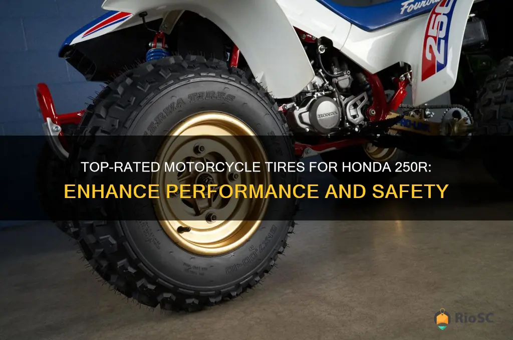 best motorcycle tires honda 250r