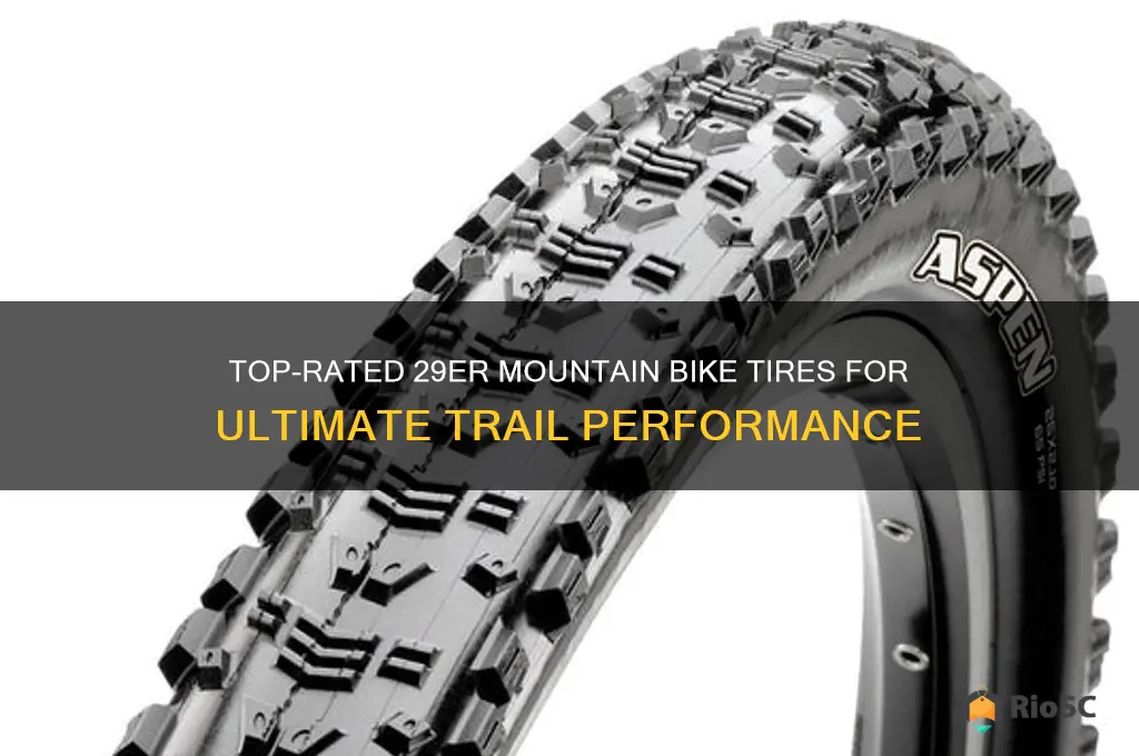 best mountain bike 29er tires