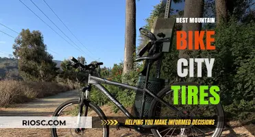 Top Mountain Bike City Tires for Urban Adventures: Performance, Durability, and Comfort