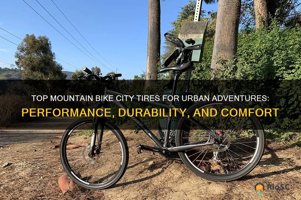 best mountain bike city tires