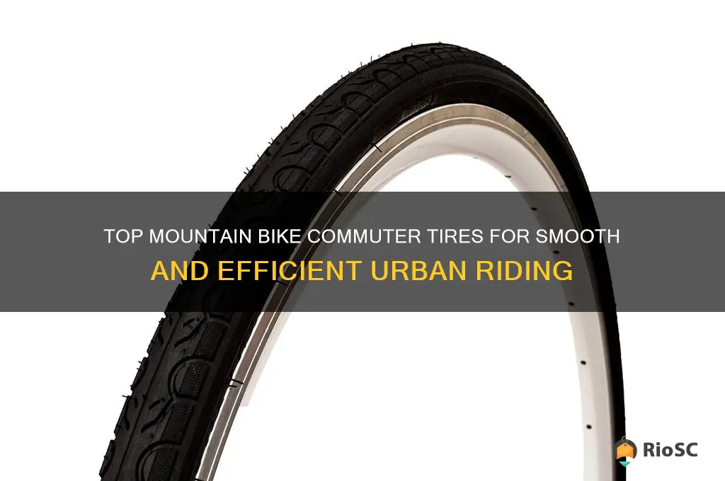best mountain bike commuter tires