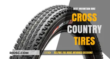 Top-Rated Cross-Country Mountain Bike Tires for Speed, Grip, and Durability