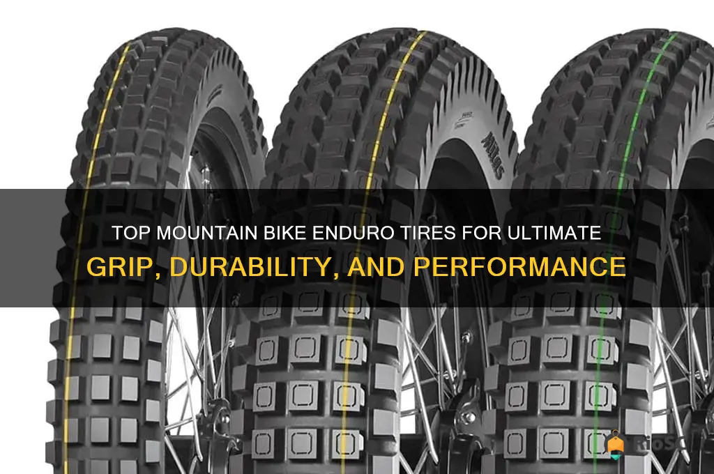 best mountain bike enduro tires