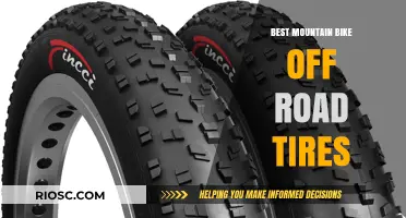 Top-Rated Off-Road Tires for Mountain Biking: Enhance Your Trail Performance