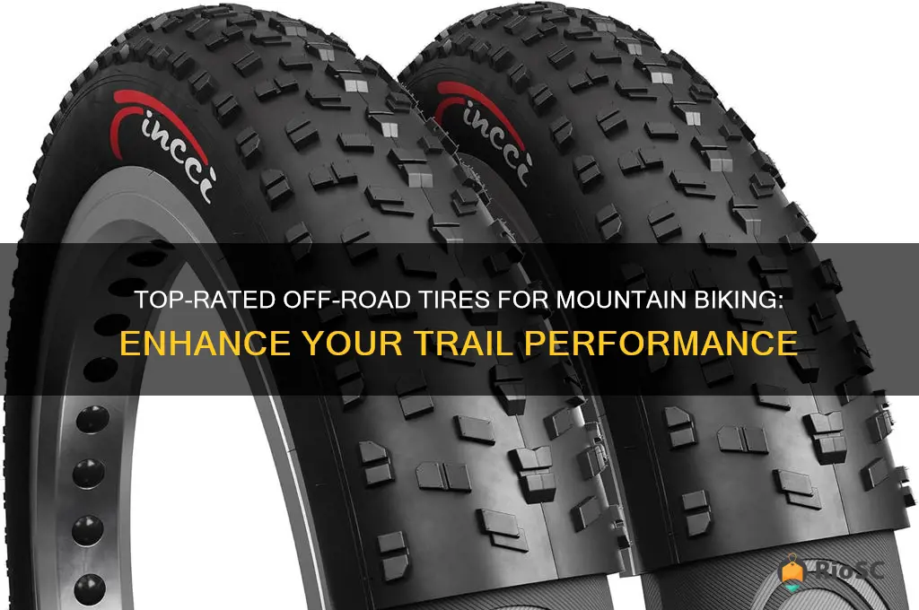best mountain bike off road tires