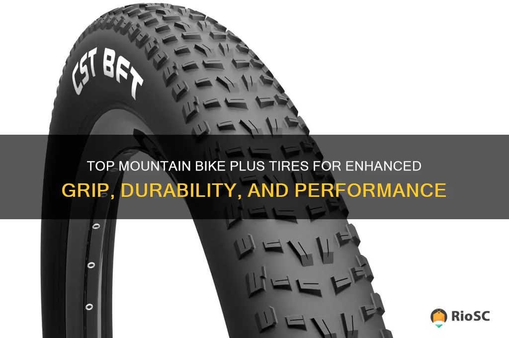 best mountain bike plus tires