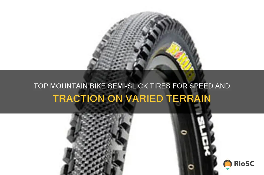 best mountain bike semi slick tires