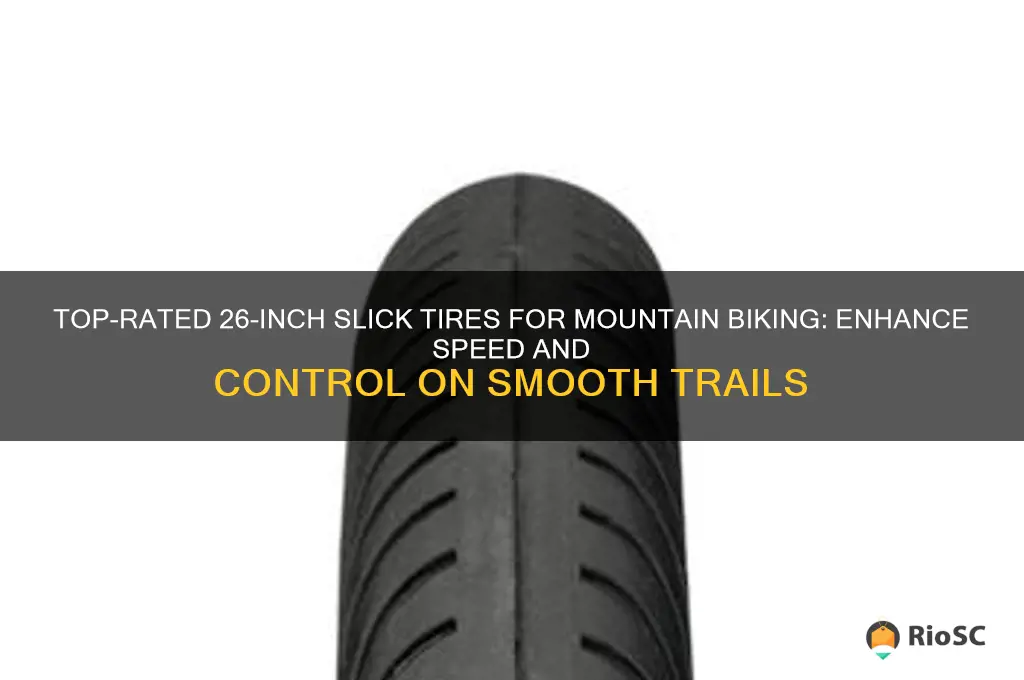 best mountain bike slick tires 26 inch
