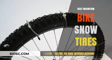 Top Picks for Mountain Bike Snow Tires: Conquer Winter Trails with Confidence
