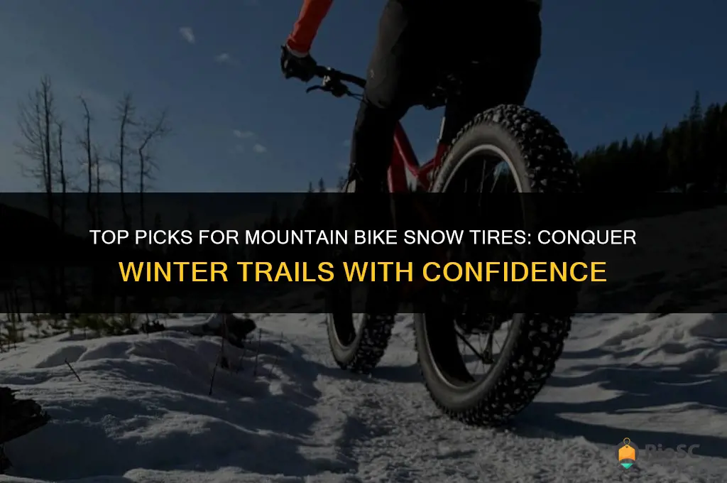 best mountain bike snow tires