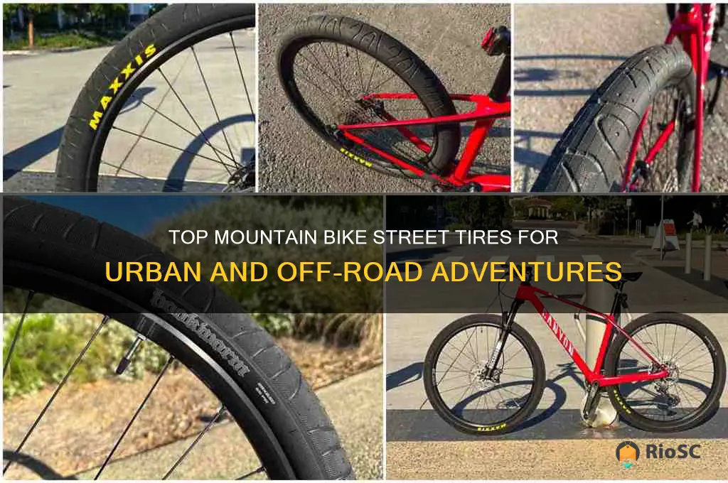 best mountain bike street tires