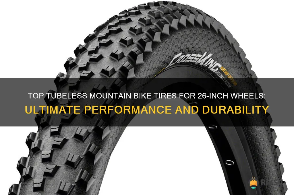 best mountain bike tires 26 tubeless