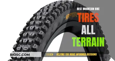 Rugged Rollers: Mountain Bike Tires for All Terrains