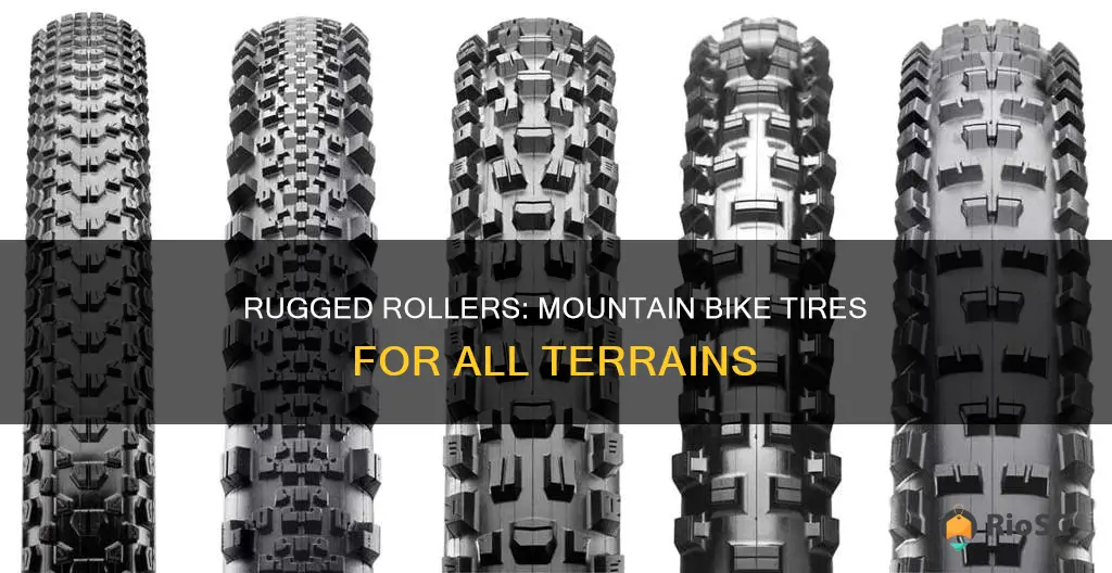 best mountain bike tires all terrain