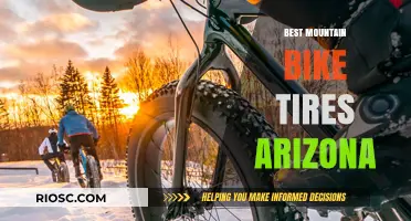 Top Mountain Bike Tires for Arizona's Rugged Terrain: Expert Picks for Performance and Durability