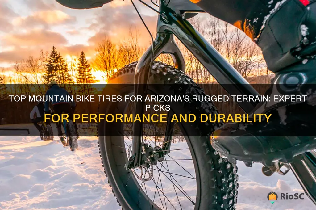 best mountain bike tires arizona
