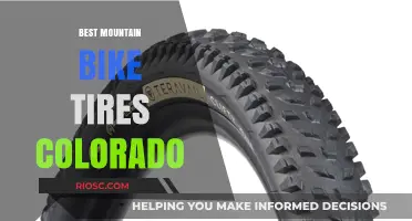 Top Mountain Bike Tires for Colorado's Rugged Trails and Diverse Terrain