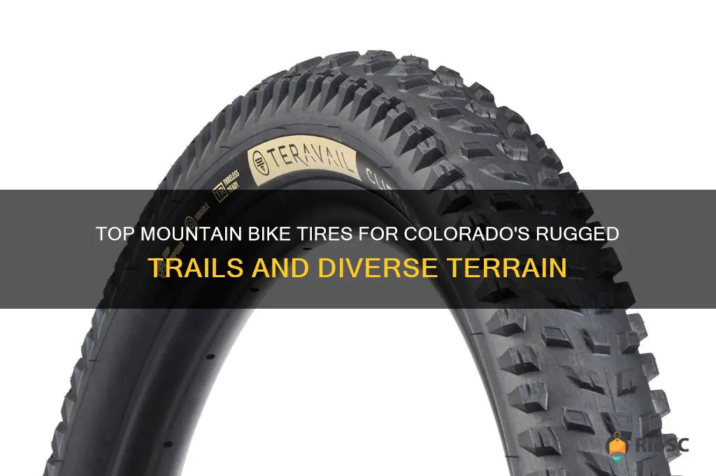 best mountain bike tires colorado