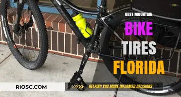 Top Mountain Bike Tires for Florida's Diverse Terrain: Expert Picks for Performance and Durability