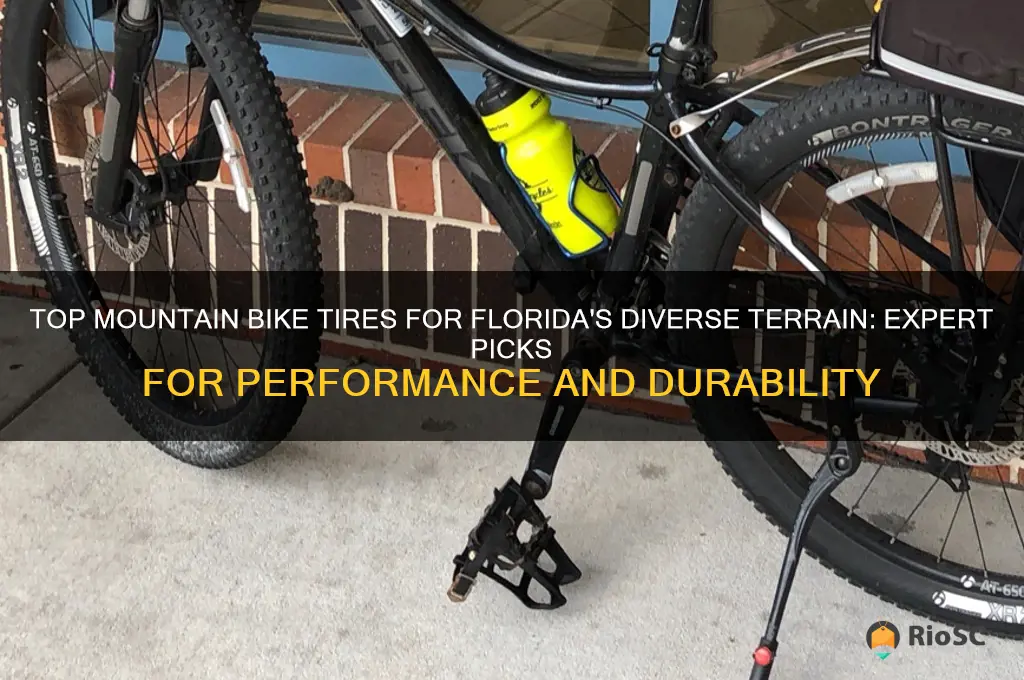 best mountain bike tires florida