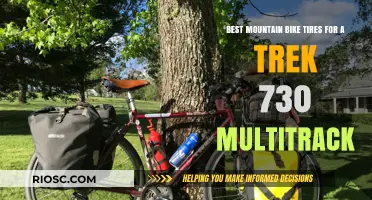 Top Mountain Bike Tire Picks to Enhance Your Trek 730 Multitrack Performance