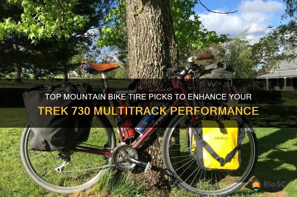 best mountain bike tires for a trek 730 multitrack
