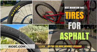 Top Mountain Bike Tires for Smooth Asphalt Riding: Performance and Durability