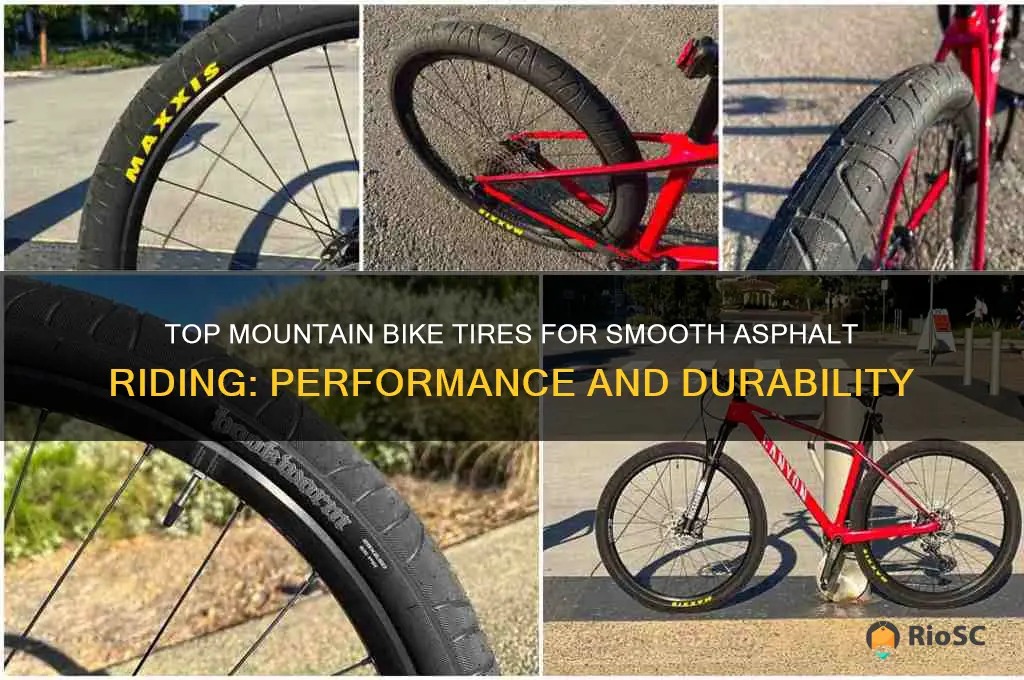 best mountain bike tires for asphalt