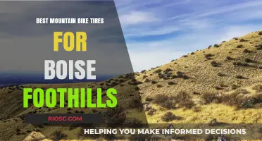 Top Mountain Bike Tires for Tackling Boise Foothills: Durability, Traction, and Performance