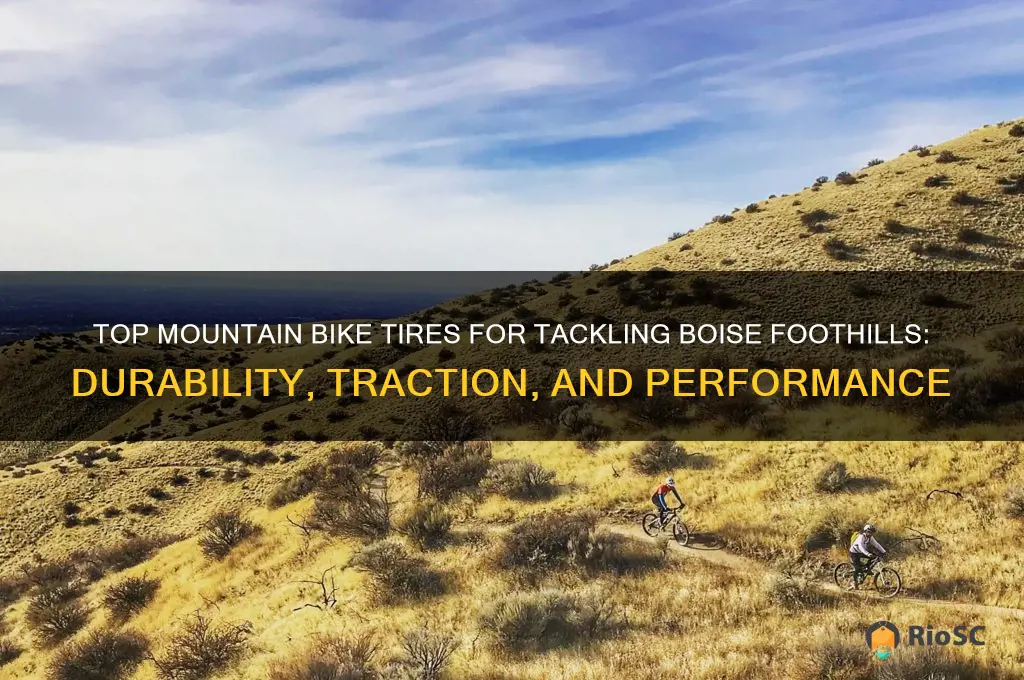best mountain bike tires for boise foothills