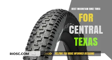Top Mountain Bike Tires for Central Texas Trails: Durability, Traction, and Performance