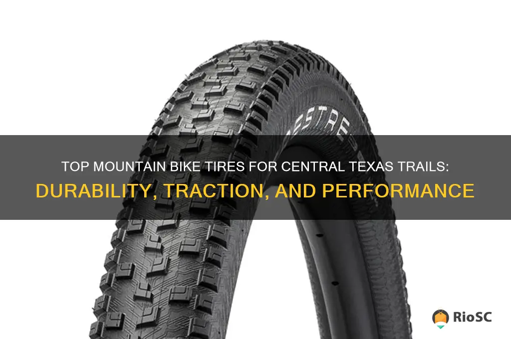 best mountain bike tires for central texas