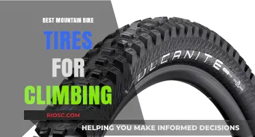 Top-Performing Mountain Bike Tires to Enhance Your Climbing Experience
