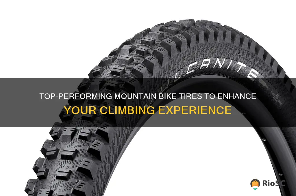 best mountain bike tires for climbing