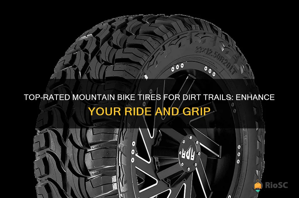 best mountain bike tires for dirt