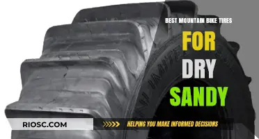 Top Mountain Bike Tires for Dry, Sandy Trails: Maximize Grip and Performance