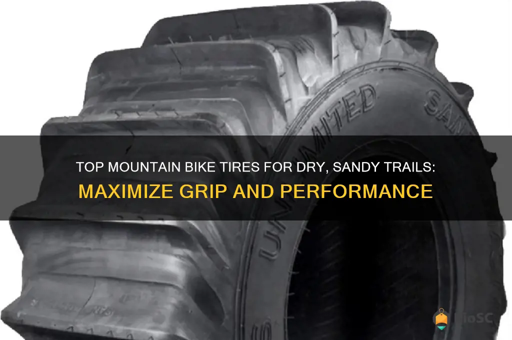 best mountain bike tires for dry sandy