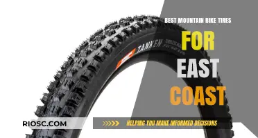 Top Mountain Bike Tires for East Coast Trails: Grip, Durability, and Performance