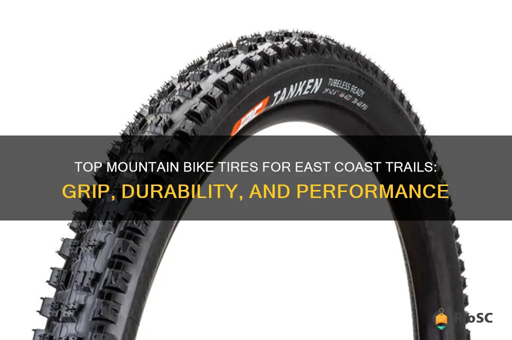 best mountain bike tires for east coast