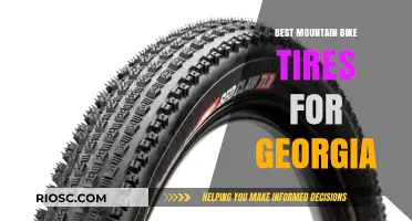 Top Mountain Bike Tires for Georgia's Diverse Trails: Grip, Durability, and Performance